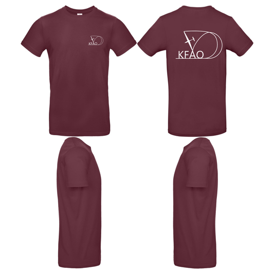 unisex T-Shirt Kunstflugförderverein Aufschwung Ost
